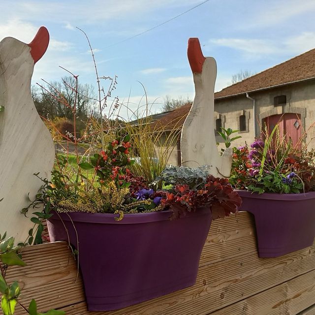 Automne 2020